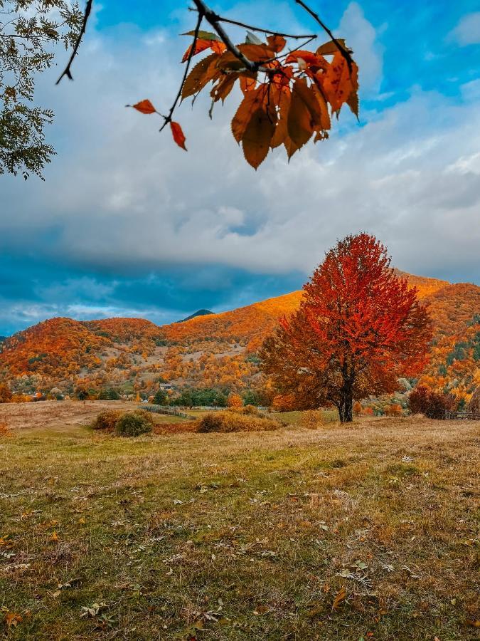 Roua By Noratlas Heritage - Adults Only Buzău Dış mekan fotoğraf