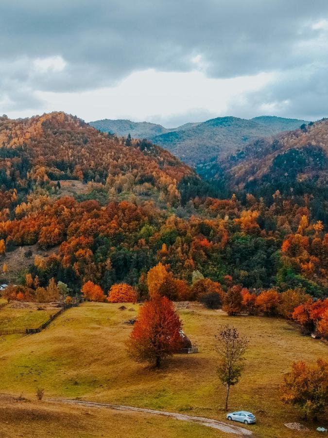 Roua By Noratlas Heritage - Adults Only Buzău Dış mekan fotoğraf