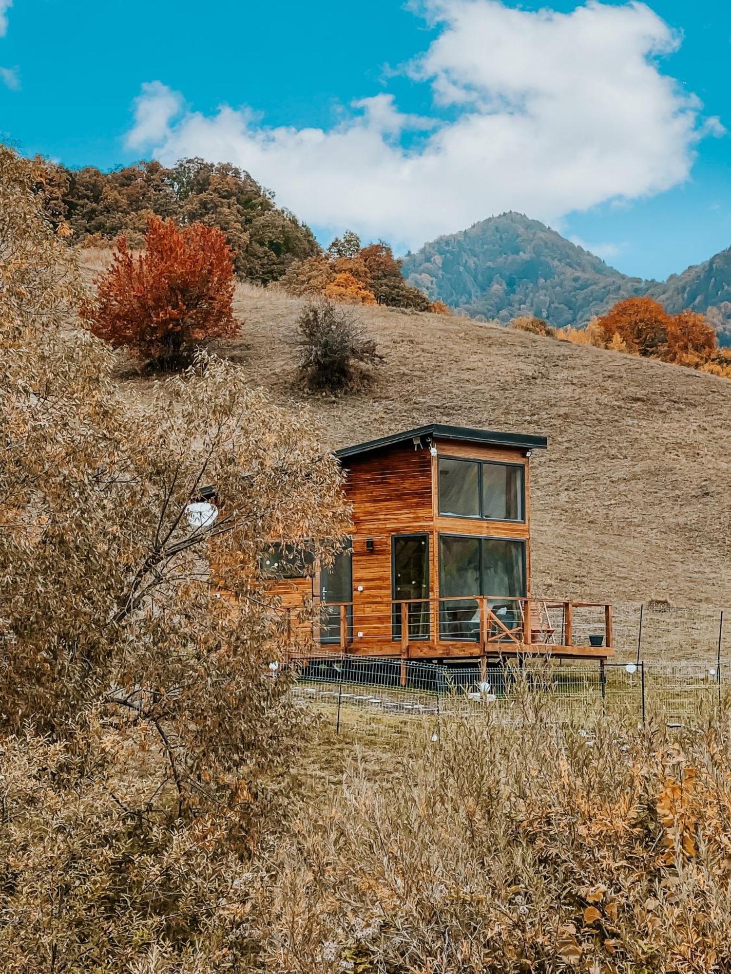 Roua By Noratlas Heritage - Adults Only Buzău Dış mekan fotoğraf